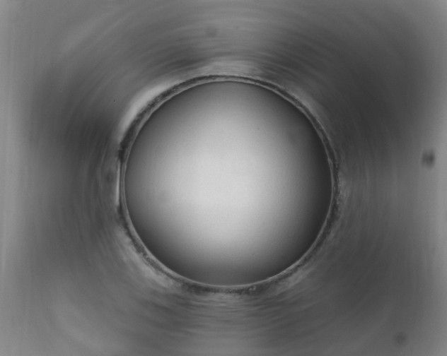 X0000112421123200908211139