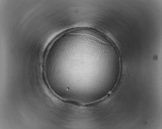 X0000112421124200908211139