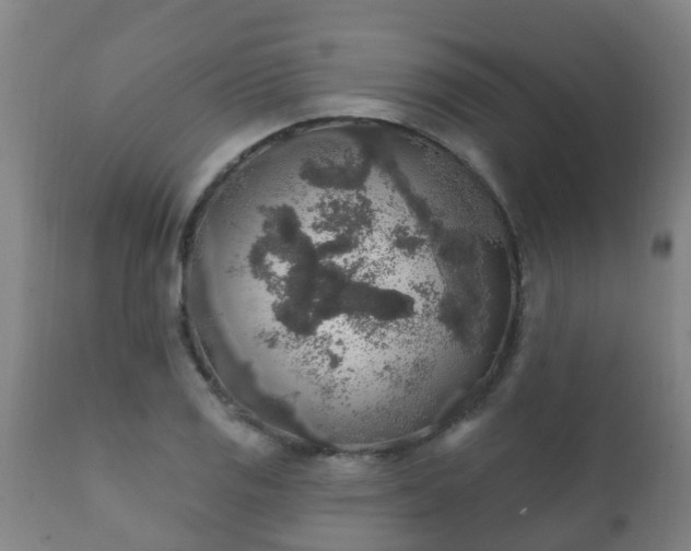 X0000112421125200908211140