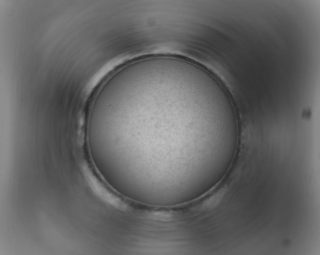 X0000112421126200908211140