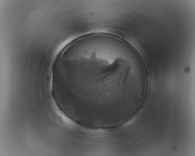 X0000112421127200908211140