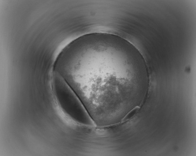 X0000112421128200908211140