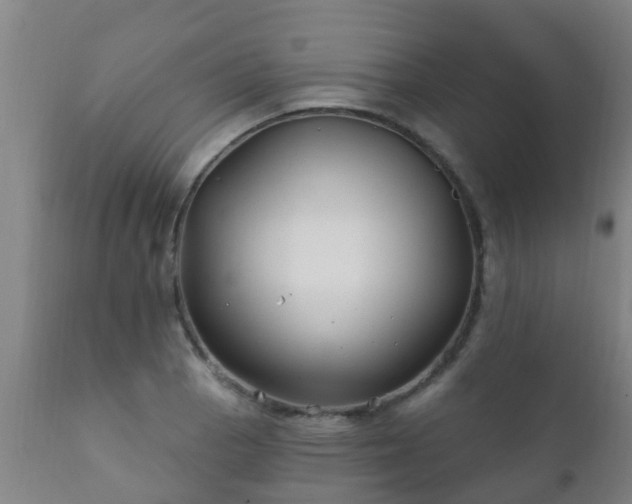 X0000112421129200908211140