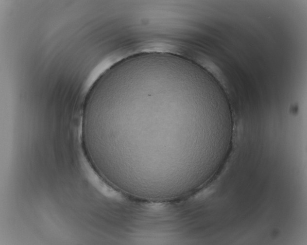 X0000112421130200908211140