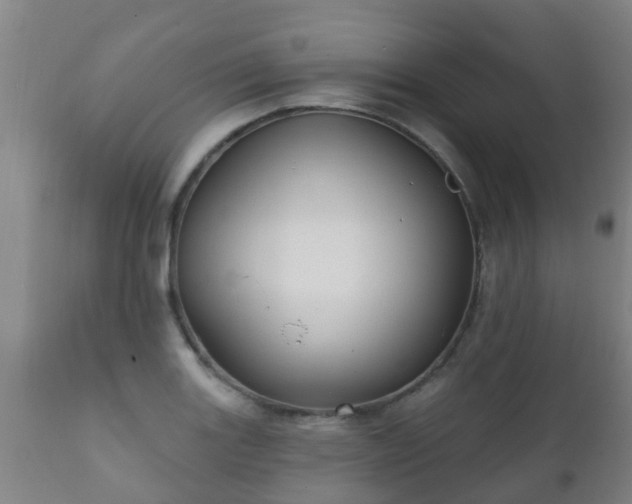 X0000112421131200908211140