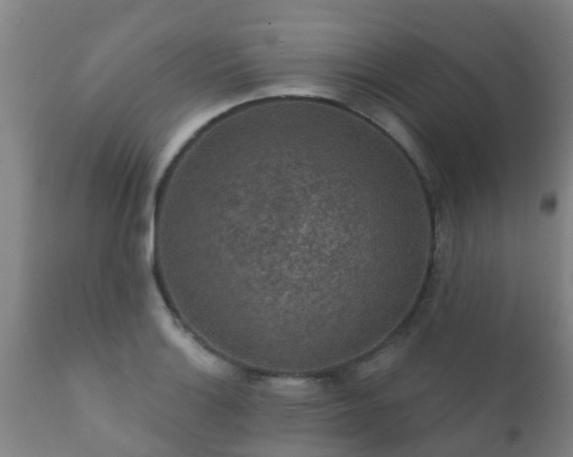 X0000112421132200908211140