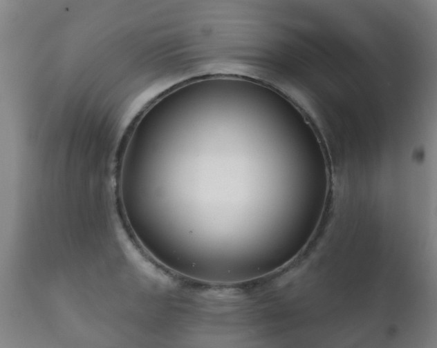 X0000112421133200908211140