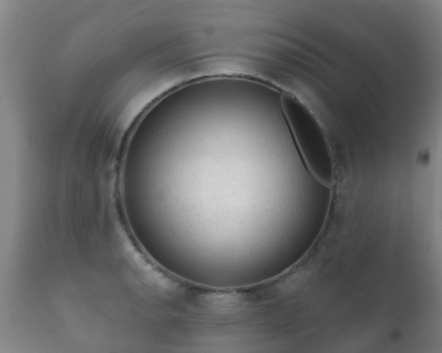 X0000112421134200908211140