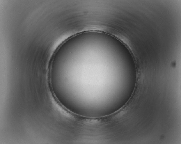 X0000112421135200908211140