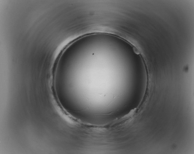 X0000112421136200908211140