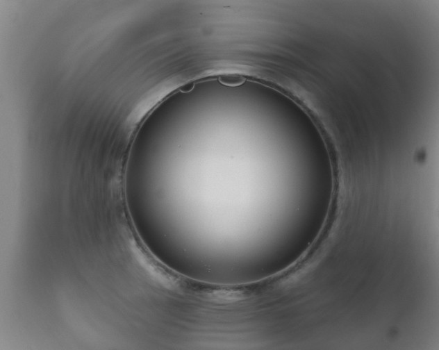 X0000112421137200908211140