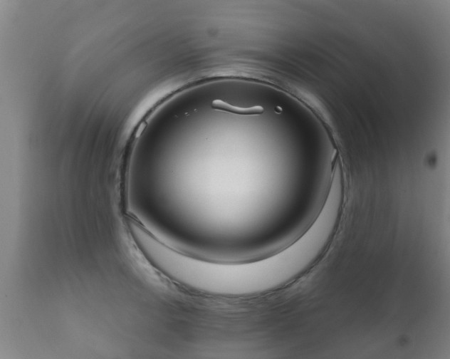 X0000112421138200908211140