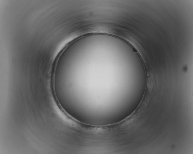 X0000112421139200908211140