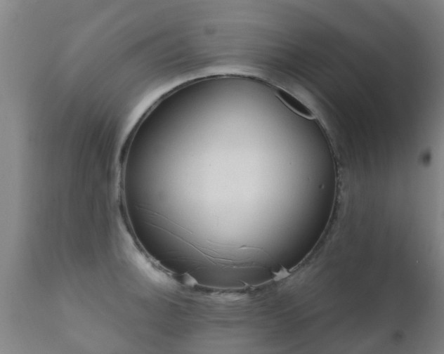 X0000112421140200908211140