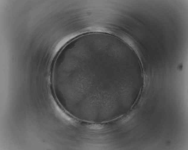 X0000112421141200908211140