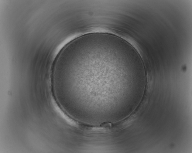 X0000112421142200908211140