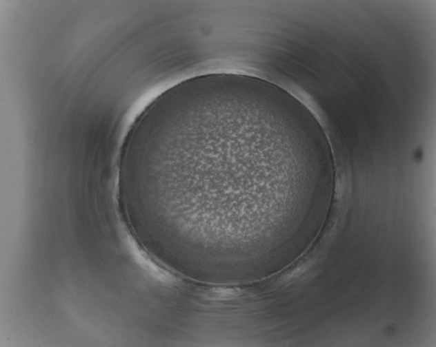 X0000112421144200908211140