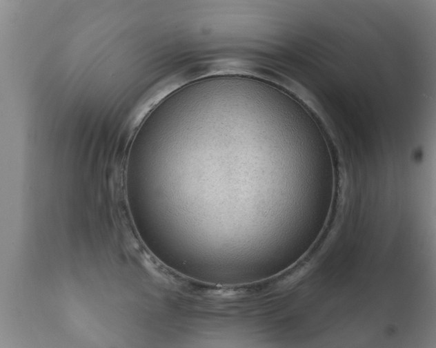 X0000112421145200908211140