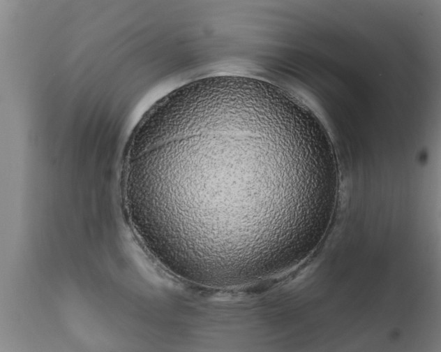 X0000112421146200908211140