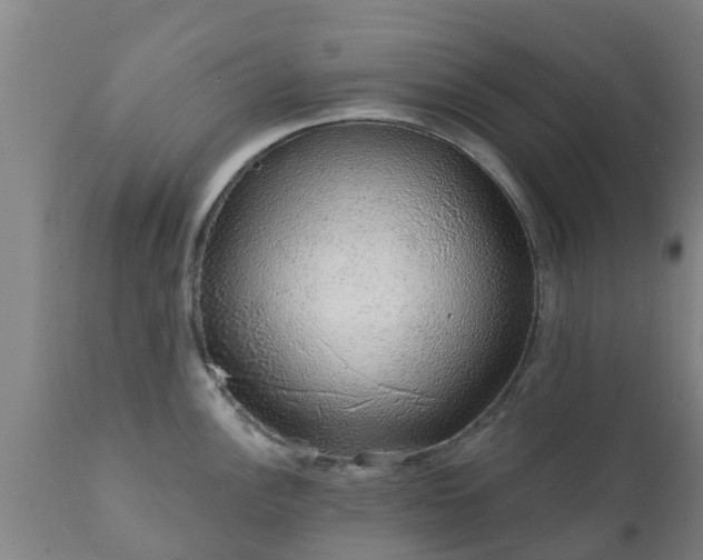 X0000112421148200908211140