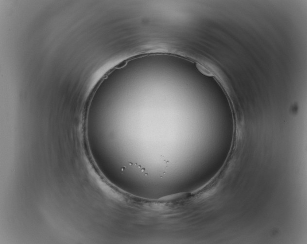 X0000112421149200908211140