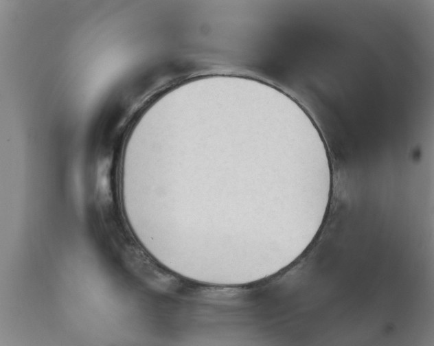 X0000112421150200908211140