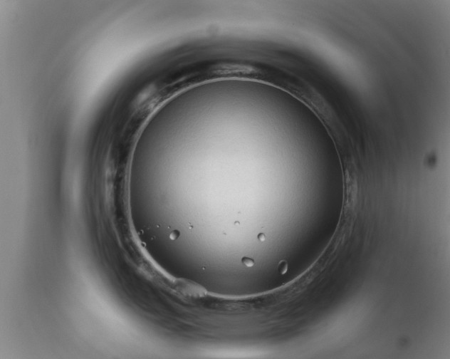 X0000112421151200908211140