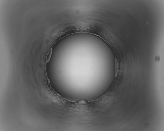 X0000112421153200908211139