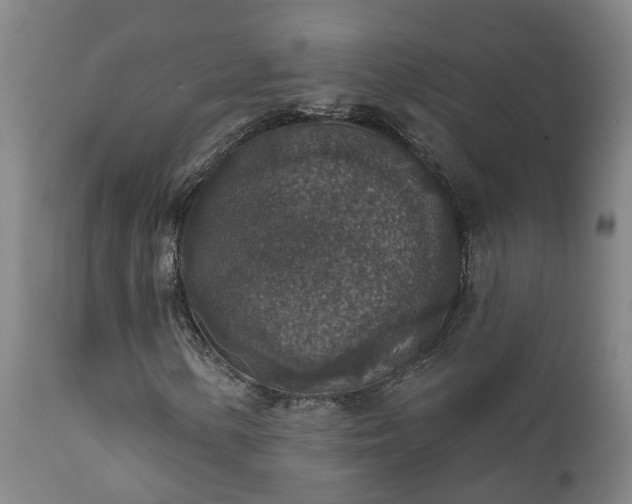 X0000112421154200908211139