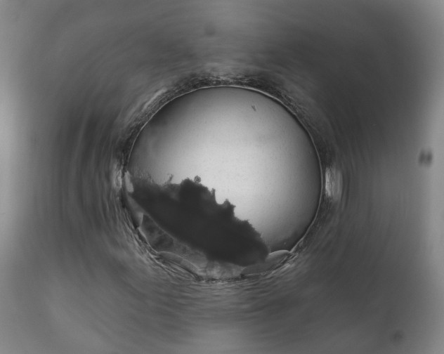 X0000112421155200908211139