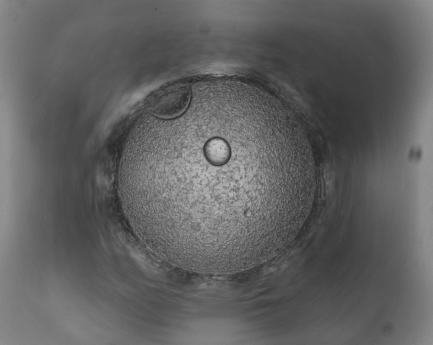 X0000112421158200908211139