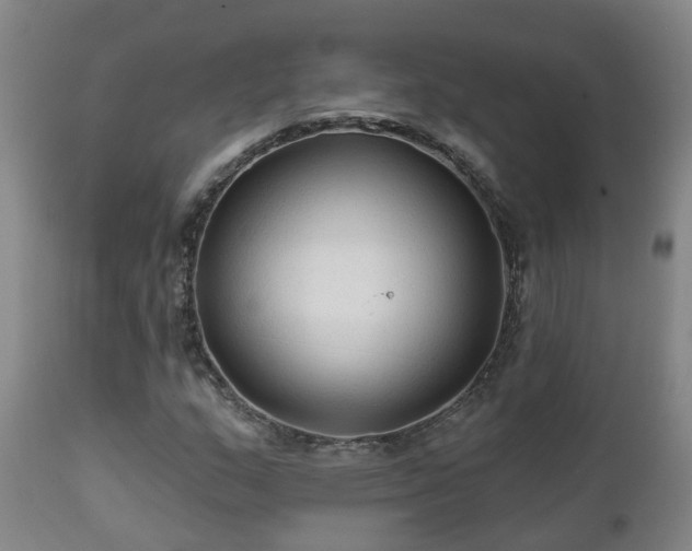 X0000112421159200908211139