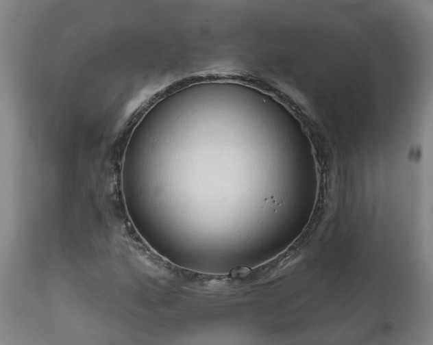 X0000112421160200908211139