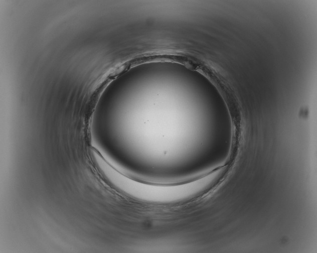 X0000112421161200908211139