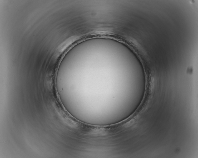 X0000112421162200908211139