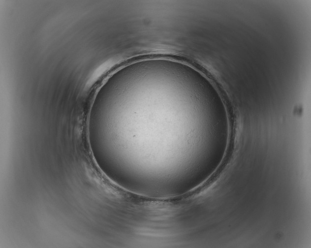 X0000112421163200908211139