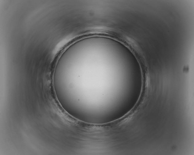 X0000112421164200908211139