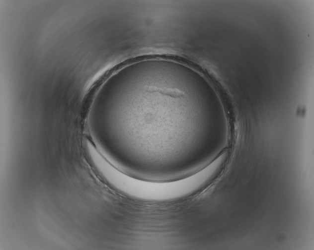 X0000112421165200908211139