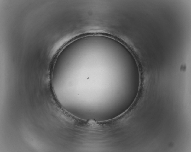 X0000112421167200908211139