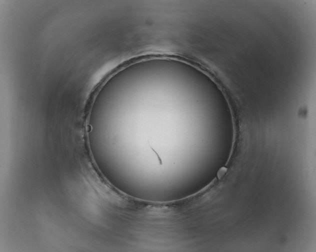 X0000112421168200908211139