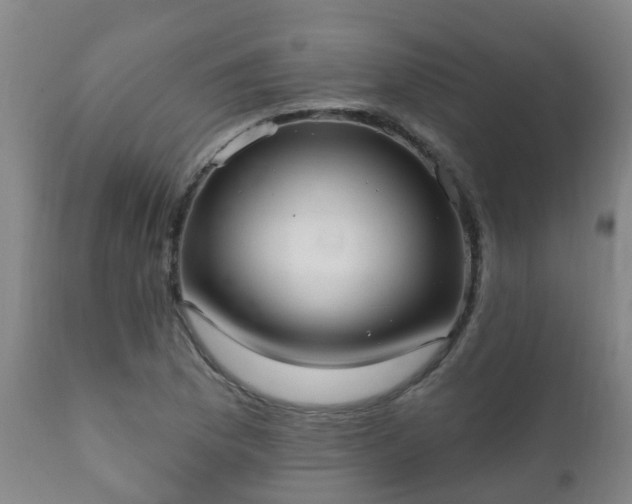 X0000112421169200908211139