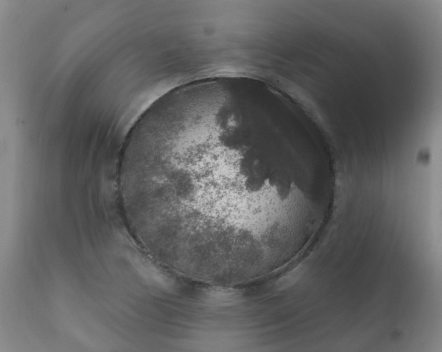 X0000112421170200908211139