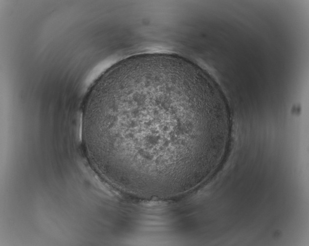 X0000112421171200908211139