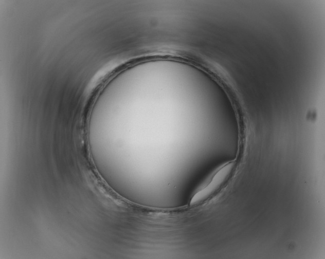 X0000112421172200908211139