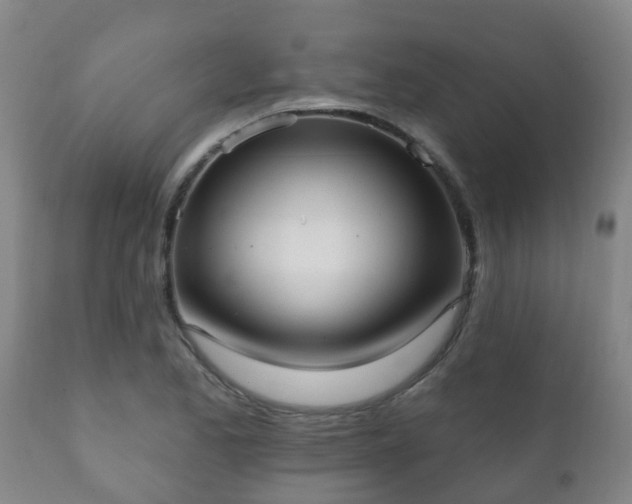 X0000112421173200908211139