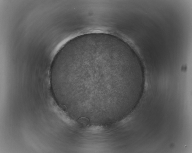 X0000112421174200908211139