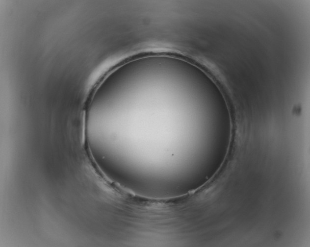 X0000112421175200908211139