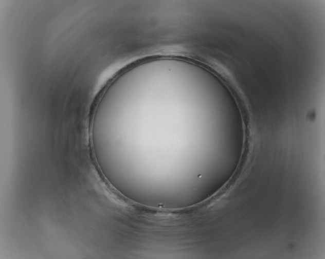 X0000112421176200908211139