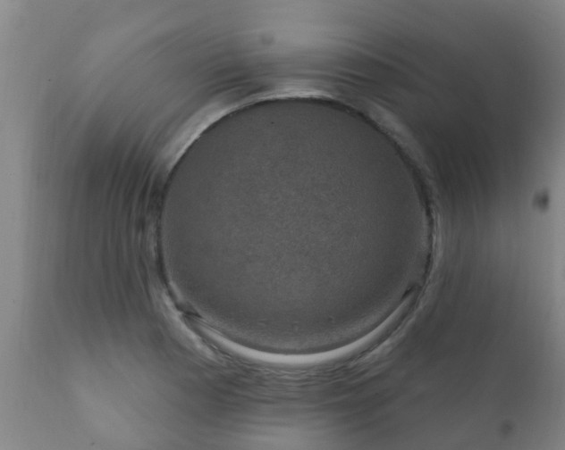 X0000112421177200908211139