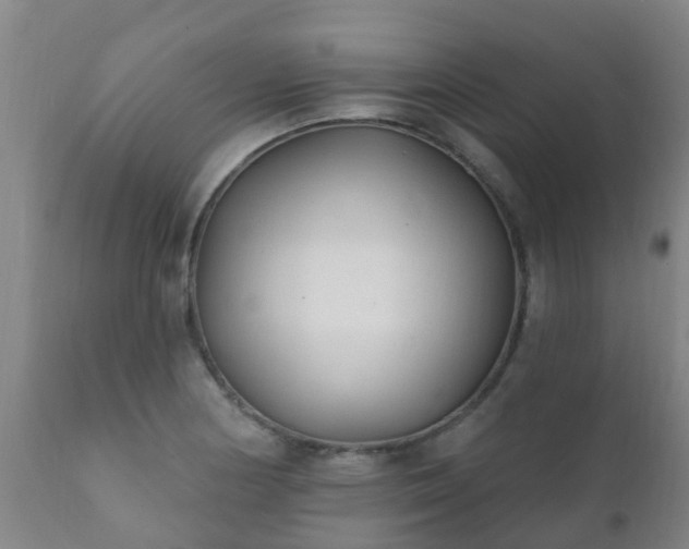 X0000112421178200908211139